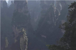 2019年暢世達(dá)年度旅游